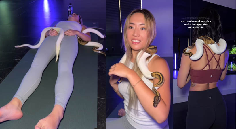 yoga with snakes