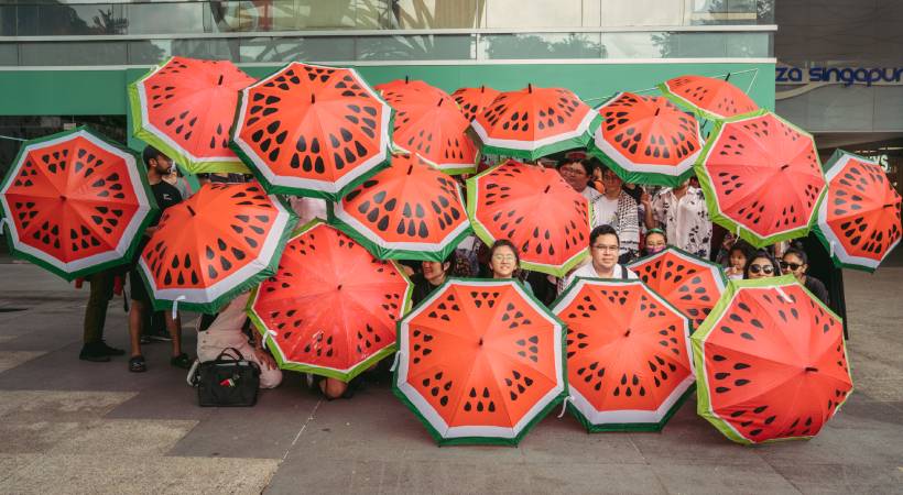 water-melon-umbrella