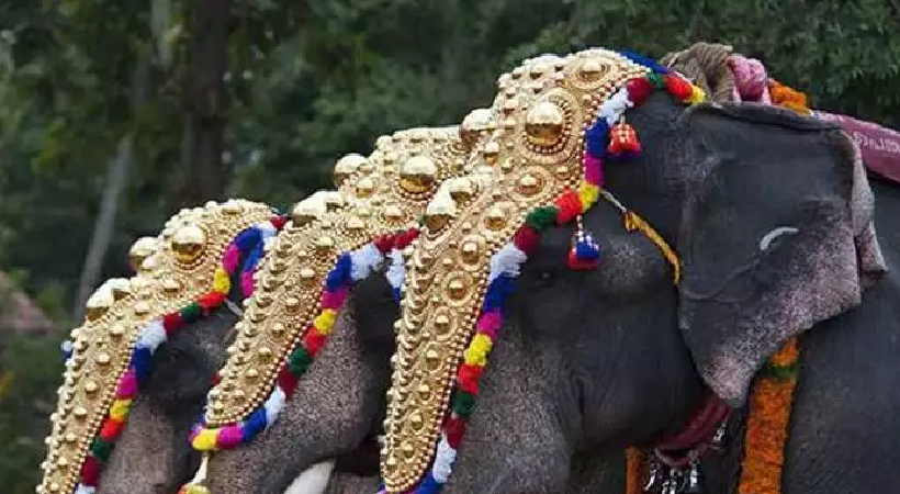 Elephant Parade for Temple Festival