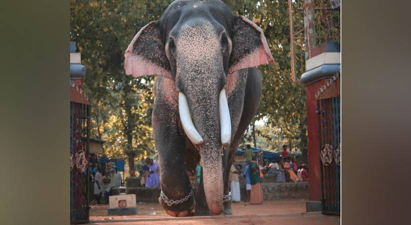 Puthuppaly Sadhu