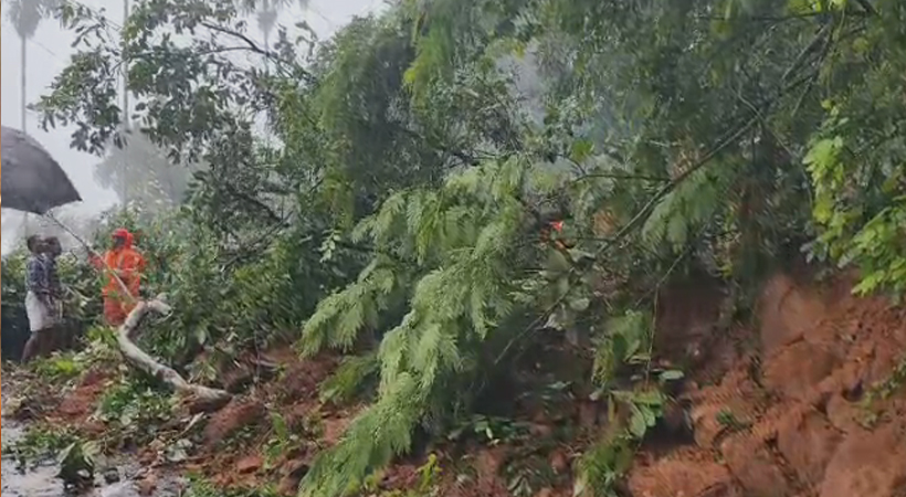 kottayam landslide