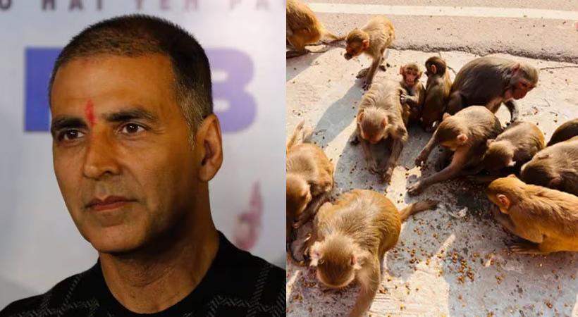 akshay kumar donates 1crore to feed monkeys