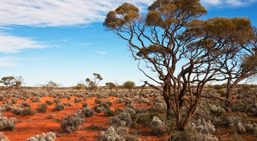 australian-northern-territory