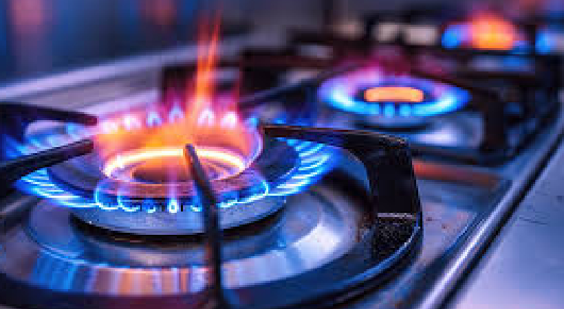 gas Stove Flame