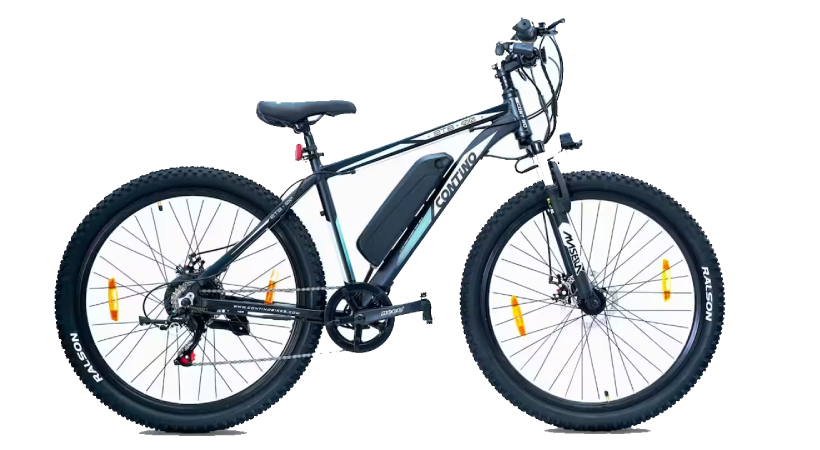 ETB 200 Electric Bicycle