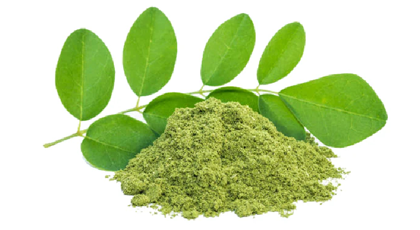 Moringa Leaves