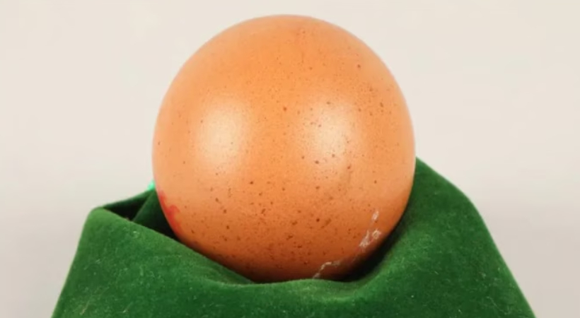 egg