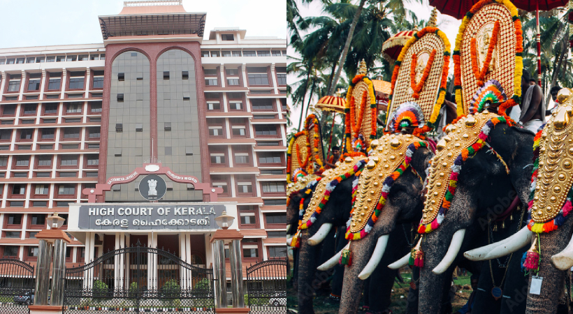 elephant-kerala-high-court