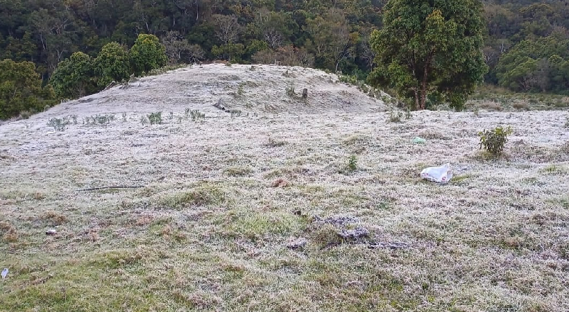 munnar snowfall