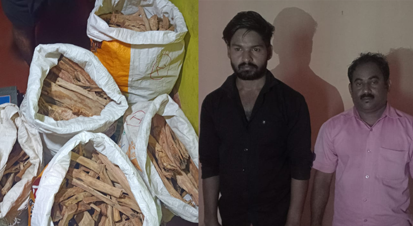 sandalwood seized