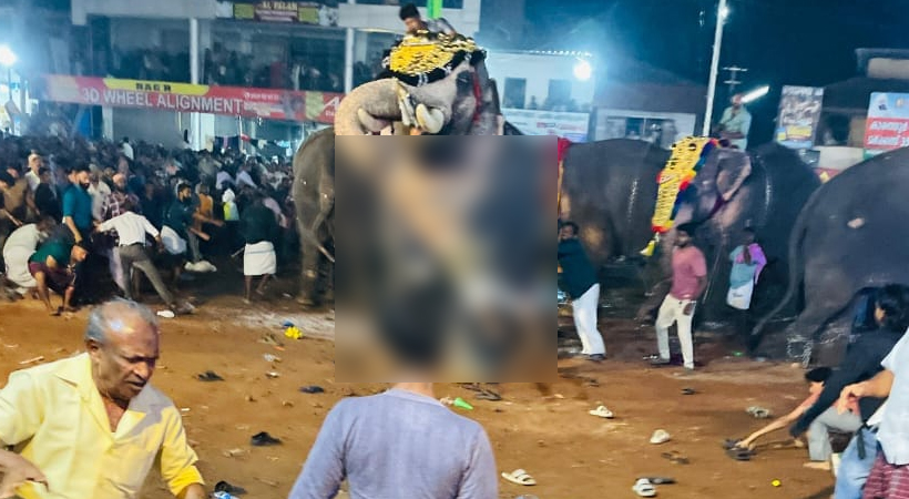 MALAPPURAM ELEPHANT